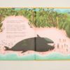 Interior llibre Nanuketa l'esquimal